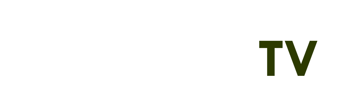 tiên kiếm kỳ hiệp 4